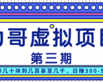力哥实操内训虚拟项目第三期,每单几十块到几百甚至几千,日赚300-500+-第一资源库