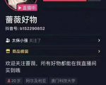 爆抖联盟蔷薇好物连怼100技术,一天连怼上百个视频,单场直播平均带货30万玩法-第一资源库