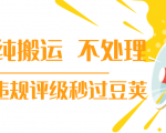 抖音纯搬运 不处理 小技巧,30秒发一个作品,避免违规评级秒过豆荚-第一资源库