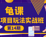龟课·闲鱼项目玩法实战班第14期，批量细节玩法，一个月收益几万-第一资源库