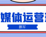 鹏哥自媒体运营班、宝妈兼职,也能月入2W,重磅推荐!【价值899元】-第一资源库