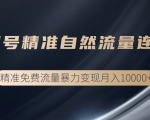 垂直起号精准自然流量连爆玩法，精准引流暴力变现月入10000+-第一资源库
