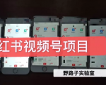 野路子小红书视频号1.0项目,直接上手操作就能赚钱的视频号项目-第一资源库