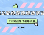 2020宝妈获客操盘手训练营:7天实战操作引爆 母婴、都市、购物宝妈流量-第一资源库