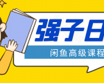 闲鱼高级课程：单号一个月一万左右 有基础的，批量玩的5万-10万都不是难事-第一资源库