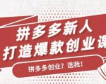 拼多多新人打造爆款创业课:快速引流持续出单,适用于所有新人-第一资源库