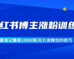 小红书博主涨粉训练营:一篇笔记爆涨10000粉及引流微信的技巧-第一资源库