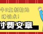—牛B复制粘贴赚钱术!牛逼持久收入极品闷声发财项目,首发揭秘独此一家!-第一资源库