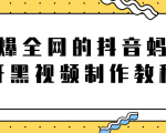 火爆全网的抖音“蚂蚁牙黑”视频制作教程，附软件【视频教程】-第一资源库