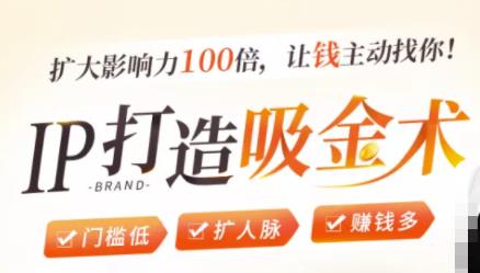 IP打造吸金术:0基础0资源,也能扩大影响力100倍,让钱主动找你!-第一资源库