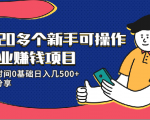 20多个新手可操作的副业赚钱项目:业余时间0基础日入几500+实操分享-第一资源库