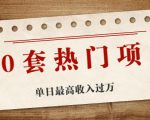 30套热门项目：单日最高收入过万 (网赚项目、朋友圈、涨粉套路、抖音、快手)等-第一资源库