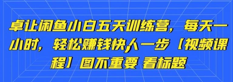 卓让闲鱼小白五天训练营,每天一小时,轻松赚钱快人一步-第一资源库