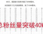 倪叶明·蓝海公众号矩阵项目训练营,0粉冷启动,公众号矩阵账号粉丝突破30w-第一资源库