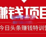 懒人领域·今日头条项目玩法,头条中视频项目,单号收益在50—500可批量-第一资源库
