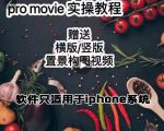 漆十二美食摄影,25节promovie实操高手课节-第一资源库