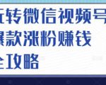 玩转微信视频号爆款涨粉赚钱全攻略,让你快速抓住流量风口,收获红利财富-第一资源库