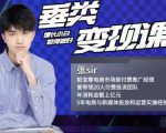 张sir·垂类变现课,抖音带货新手才看粉丝量,高手都看变现效率-第一资源库