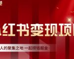 渣圈学苑·小红书虚拟资源变现项目,一起捞钱掘金价值1099元-第一资源库