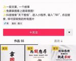 国潮壁纸变现项目，新手可操作日赚200+【素材+软件+教程】-第一资源库