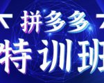 星雪教育·拼多多基础班+进阶班+突破班,用系统的学习模式快速改变现状价值3580元-第一资源库