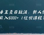 虚拟项目垂直类目玩法，新人快速起店，月入5000+【视频课程】-第一资源库