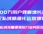 8000万用户规模增长方法论私域精细化运营增长,私域流量硬课助力业务跃迁-第一资源库