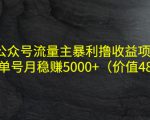 公众号流量主暴利撸收益项目,单人单号月稳赚5000+(价值480元)-第一资源库