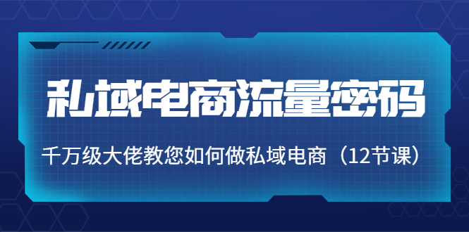 私域电商流量密码:千万级大佬教您如何做私域电商(12节课)-第一资源库