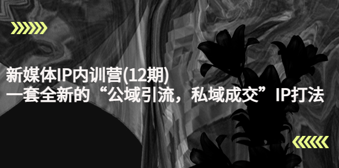 新媒体IP内训营(12期),一套全新的“公域引流,私域成交”IP打法,直接带走-第一资源库