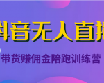 抖音无人直播带货赚佣金陪跑训练营(价值6980元)-第一资源库