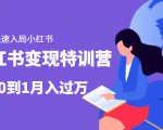 小红书变现特训营:带你快速入局小红书,从0到1月入过万-第一资源库