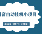 抖音自动挂机小项目,单设备日撸20+,可批量,号越多收益越大-第一资源库