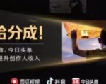 2022年最新中视频变现最稳最长期的项目,一个账号月入几万很简单-第一资源库