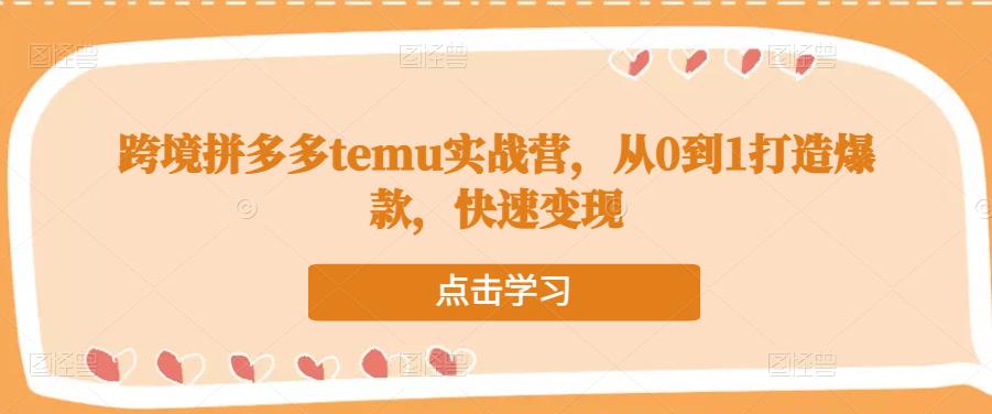 跨境拼多多temu实战营,从0到1打造爆款,快速变现-第一资源库