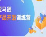 亚马逊产品开发训练营，能爆单的产品开发方法，助你突出重围-第一资源库