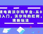跨境电商沃尔玛平台-从0基础到入门,沃尔玛的红利,跨境新玩法-第一资源库