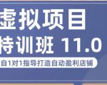 陆明明·虚拟项目特训班(10.0+11.0),0成本获取虚拟素材,0基础打造自动盈利店铺-第一资源库