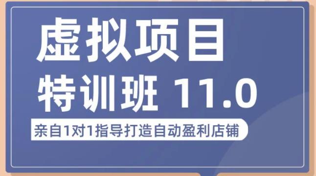 陆明明·虚拟项目特训班(10.0+11.0),0成本获取虚拟素材,0基础打造自动盈利店铺-第一资源库