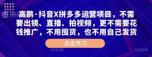 高鹏·抖音X拼多多运营项目,不需要出镜、直播、拍视频,不需要花钱推广,不用囤货,不用自己发货-第一资源库