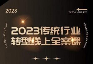 数据哥2023传统行业转型线上全案课，2023年传统行业如何转型线上，线上创业/传统转型避坑宝典-第一资源库