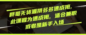 胖哥无货源拼多多速成班,此课程为速成班,适合兼职或者是新手入场-第一资源库