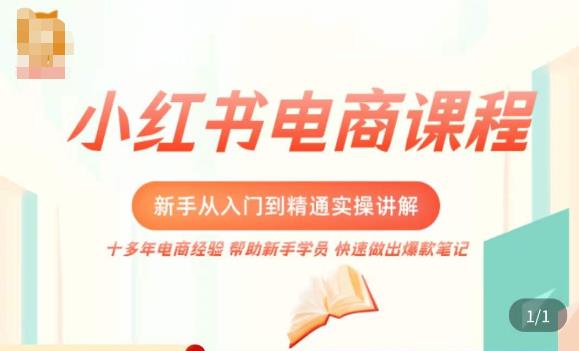 小红书电商新手入门到精通实操课,从入门到精通做爆款笔记,开店运营-第一资源库