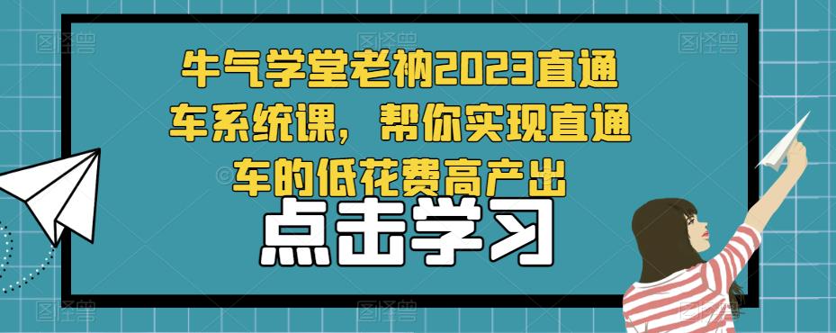 牛气学堂老衲2023直通车系统课,帮你实现直通车的低花费高产出-第一资源库