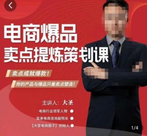 大圣·电商标品爆款卖点策划课,标品卖点成就爆款,可落地卖点提炼课-第一资源库