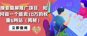搜索霸屏推广项目,如何做一个能卖10万的权重6网站(揭秘)-第一资源库