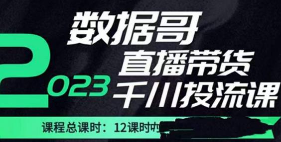 数据哥2023直播电商巨量千川付费投流实操课,快速掌握直播带货运营投放策略-第一资源库