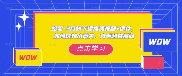 哈哥·3月线下实操课高清视频+课件,如何玩转小而美,高毛利直播间-第一资源库