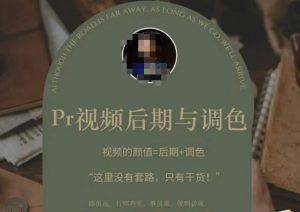 Pr视频后期与调色,视频颜值=后期+调色,这里没有套路,只有干货!-第一资源库