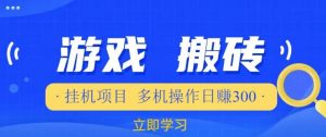 游戏挂机挂机项目,多机操作,日赚300【揭秘】-第一资源库